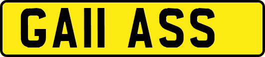 GA11ASS
