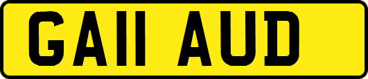 GA11AUD