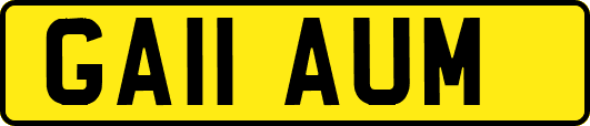 GA11AUM