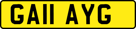 GA11AYG