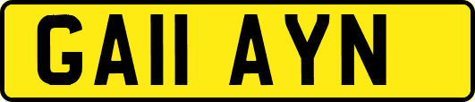 GA11AYN