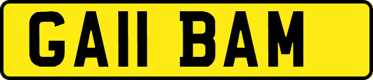 GA11BAM
