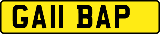 GA11BAP