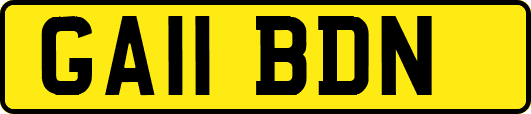 GA11BDN