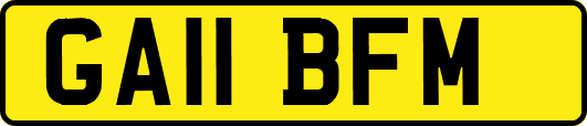 GA11BFM