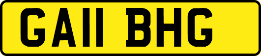 GA11BHG