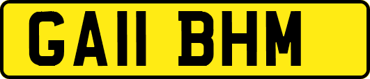 GA11BHM