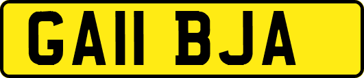 GA11BJA