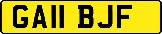 GA11BJF