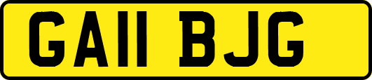 GA11BJG