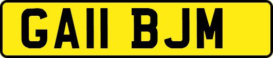 GA11BJM
