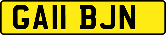 GA11BJN