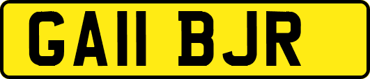 GA11BJR