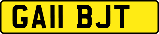 GA11BJT