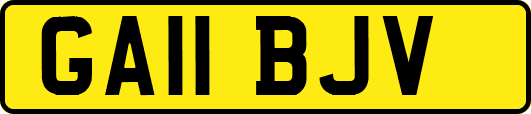 GA11BJV