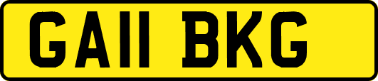 GA11BKG
