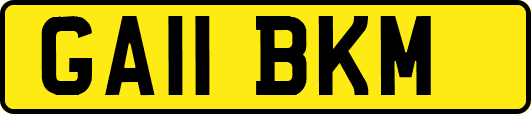 GA11BKM