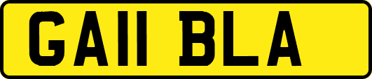 GA11BLA