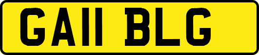 GA11BLG