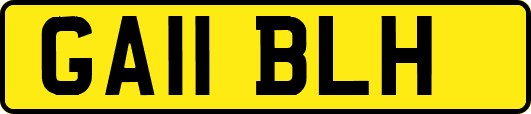 GA11BLH