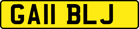 GA11BLJ