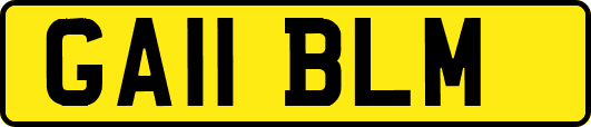 GA11BLM