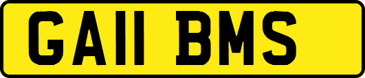 GA11BMS