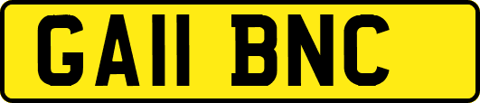 GA11BNC