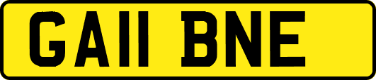 GA11BNE