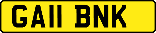 GA11BNK