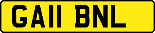 GA11BNL