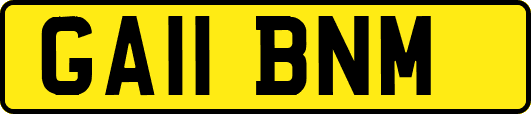 GA11BNM