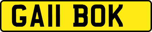 GA11BOK