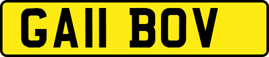 GA11BOV