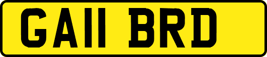 GA11BRD