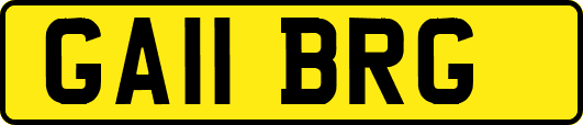 GA11BRG