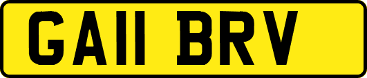 GA11BRV