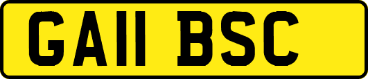 GA11BSC