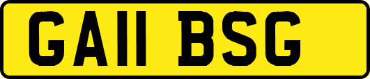 GA11BSG