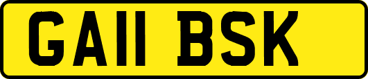 GA11BSK