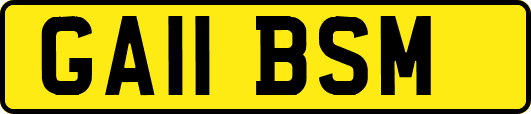GA11BSM