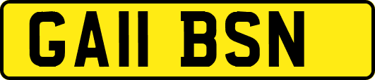 GA11BSN