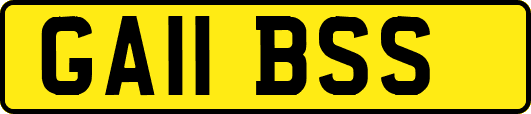 GA11BSS