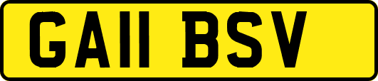 GA11BSV
