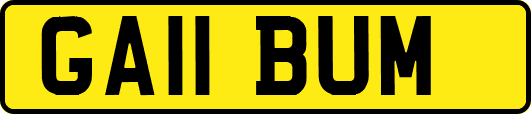 GA11BUM