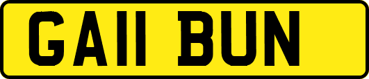 GA11BUN