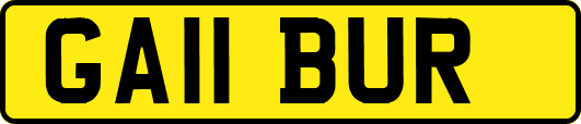 GA11BUR