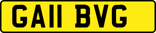 GA11BVG
