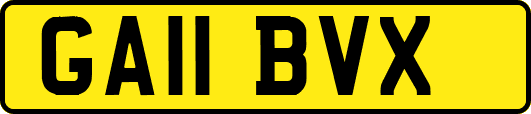 GA11BVX