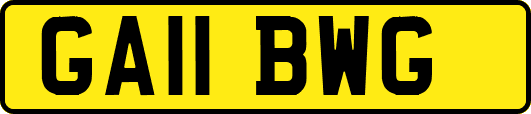 GA11BWG